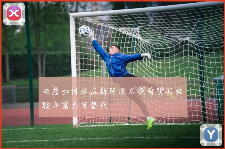 老詹如何适应新环境东契奇赞其经验丰富无可替代